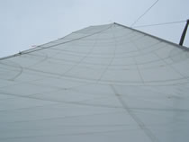 Maine Cat 41 main