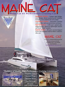 Maine Cat