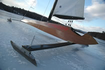 Icy Wood
