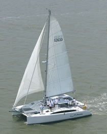 Maine Cat 41