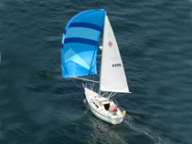 Wyanokee in Northport Race