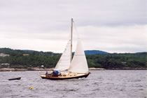 Undine