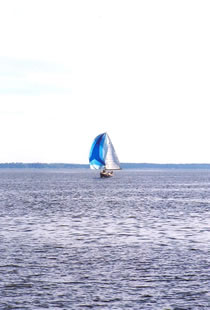 Undine